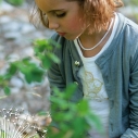 Dandelion Claudette Cardigan Olive